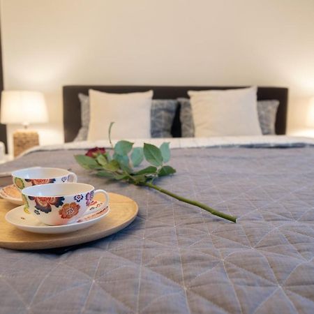 Central Bright Apartment 克卢日-纳波卡 外观 照片